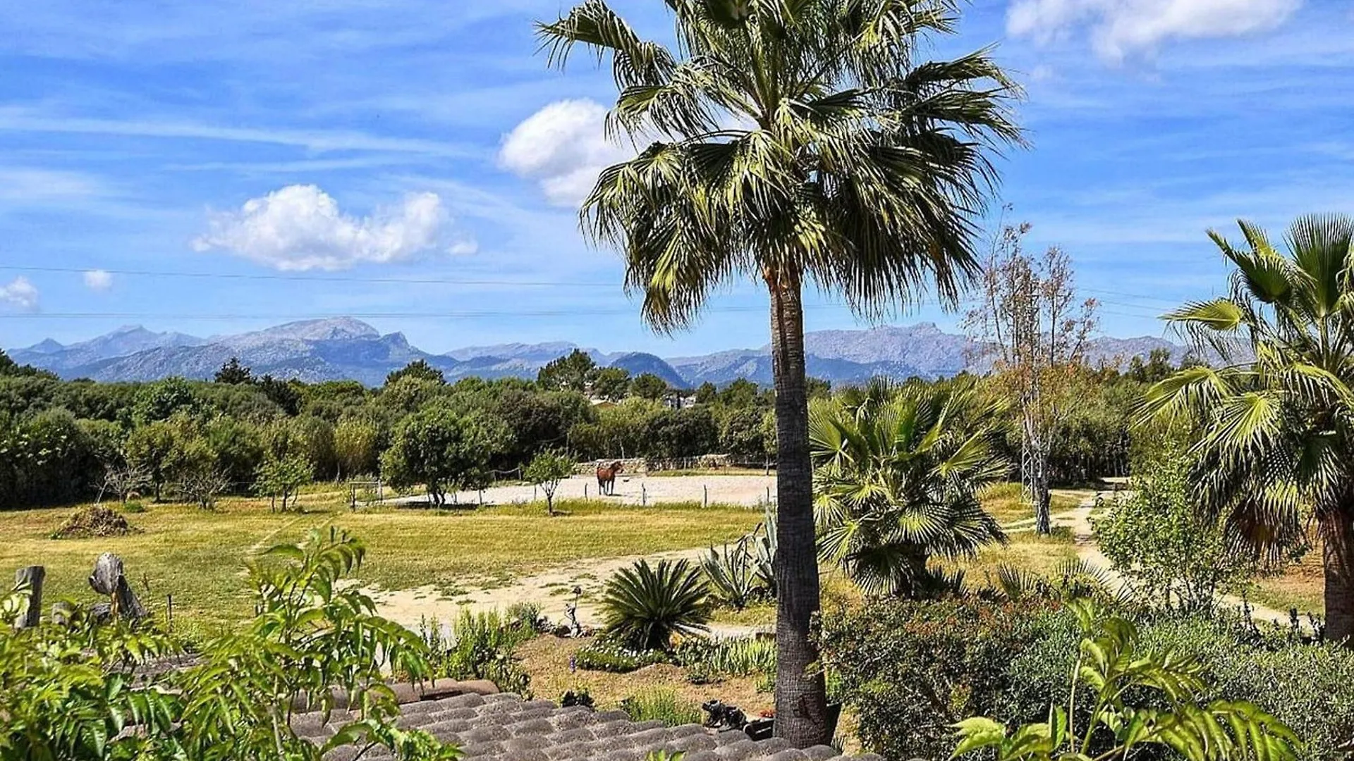 Spacious Holiday Home With Private Pool Alcudia  0*, Alcudia (Mallorca)